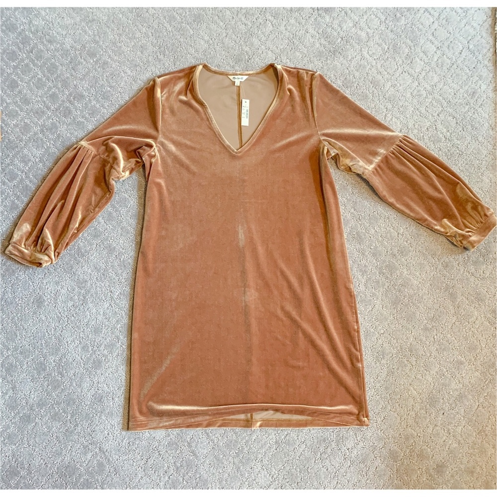 Madewell Velvet Balloon-Sleeve Dress Burnt Sienna